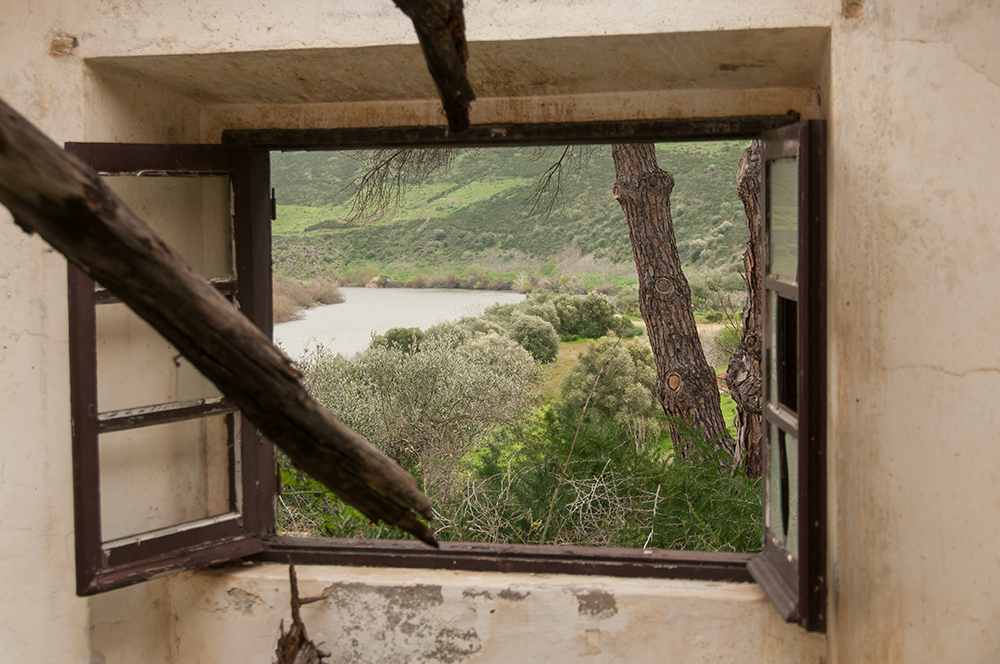window frame and nature