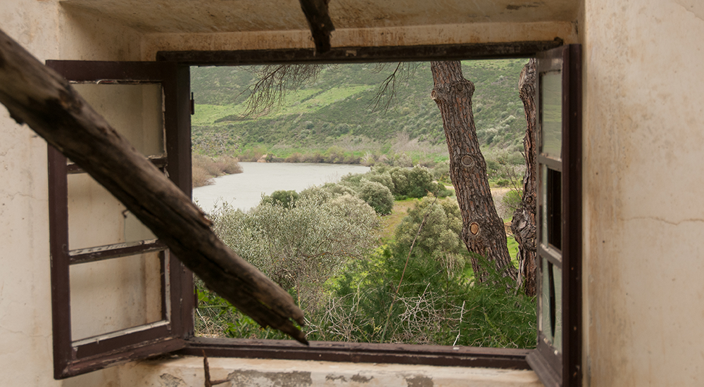 window frame and nature